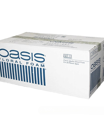 Кирпич флористический "Lutti 20", 23x11xH7,5 см, набор (20 шт), Oasis Зеленый с доставкой по Астане